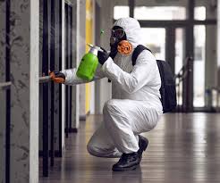 Why You Should Choose Our Mold Remediation Services in Marshall, MN